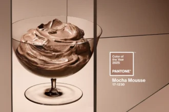 Pantone 2025 Mocha Mousse