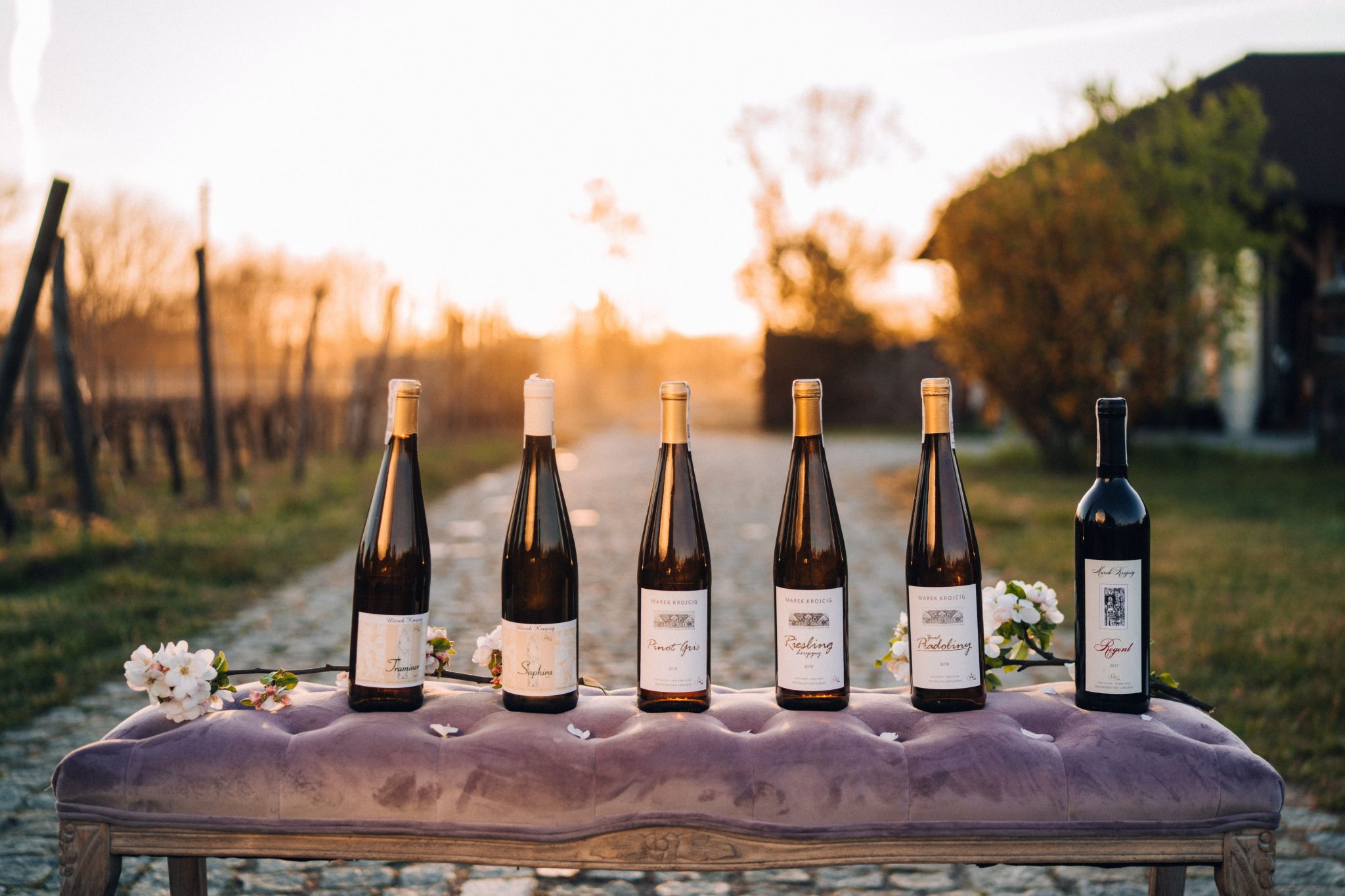 Winnice W Zielonej Gorze